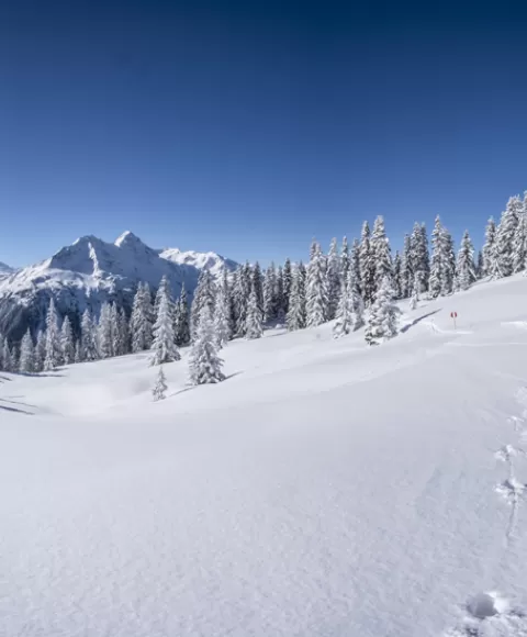 Station de ski Pralognan la Vanoise